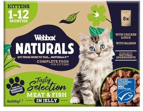 Webbox Naturals Kitten Mixed In Jelly 8 x 100g
