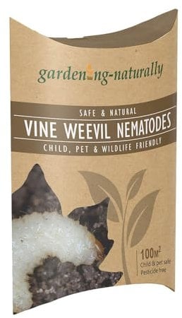 Vine Weevil Nematodes Natural Organic Killer Treats 100sq.m