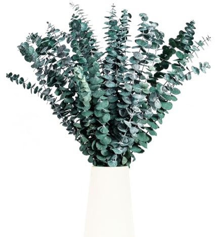 Hshenjhu 12 Piezas Eucalipto Secado 45cm Naturales Flores Secas | Eucalipto Preservado Secas, Flores Preservadas Naturales para Decoración de Casas Fiestas Bodas Hogar Baño Arreglos Florales