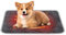 BASVII Selbstheizende Katzendecke für Katzen - Wärmedecke Katze und Hunde, Anti-Slip und Langlebige, Weich und Bequem - Katzen Decke für Haustiere Wie Katzen, Hunde und Andere (M-48X70CM) Cooling