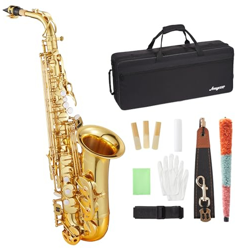 Professionelles Eb Altsaxophon Anfänger Kit: komplettes Schülerset mit Hartschalenkoffer, Mundstück, Reinigungsset (Stange/Tuch/Handschuhe), bereit für Bandklasse & Praxis
