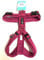 Petlando Brustgeschirr Mesh Y-Comfort Fuchsia M (Halsumfang 46-74 cm, Brustumfang 50-74 cm)