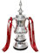 qichemaoy Resin Football Champions Trophy Model Fa Cup Trophy Replica Plating Silver Men and Women Fans Collect Home Decoration souvenirs Trophies,32cm