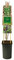 mgc24 Kletterpflanze Nutzpflanze Actinidia arguta, Issai, Scharfzähniger Strahlengriffel, Kiwi im 2l-Container 1 Pflanze