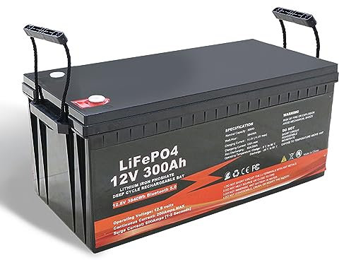 WILLQ Batterie Lithium LiFePO4 12V 100Ah 200Ah 300Ah BMS 100A 200A intégré Haute Puissance 4000 Cycles Durée 10 Ans Parfait pour Les Camping-Cars Hors réseau Batterie Secours 12,8V,12v300ah