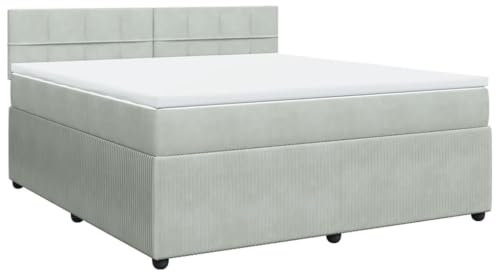 vidaXL Boxspringbett, Doppelbett mit Matratze Matratzenauflage, Bettgestell mit Lattenrost Kopfteil, Polsterbett Bett für Schlafzimmer, Hellgrau 180x200cm Samt