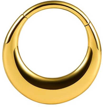 Vankula Septum Piercing Ring Hinged Segment Clicker 10mm 16g Chirurgenstahl Helix Daith Tragus Conch Piercing Schmuck für Frauen und Männer Hoop Gold