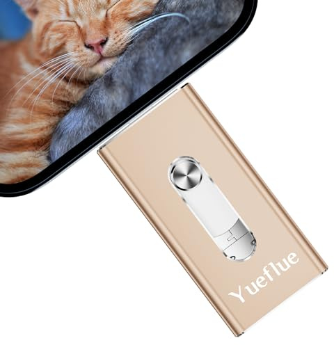 sans APP Yueflue 128Go Clé USB lPhone pour lPhone/lPad/Android/PC/Tablette | Cle USB lphone stockage Pour Stocker Plus De Photos Et Vidéos, Interface Double Push-Pull Avec Adaptateur Type-C Indépendant