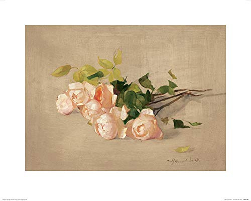 Harriet Salt Kunstdrucke, Papier, Mehrfarbig, 40 x 50 cm