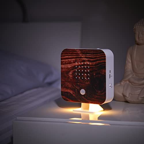 Northpoint Natur Soundbox Vogel Gesang Vogelzwitscher Box Bewegungsmelder Vogelgeräusch Licht Wiederaufladbar mit Wandhalterung Geflammtes Holz Quadrat