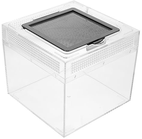 Angoily Scatola trasparente per rettili, 4 cm, gabbia per animali domestici, per ragno di uccelli, lumache nerite, tarantola, vassoio, ad alta trasparenza