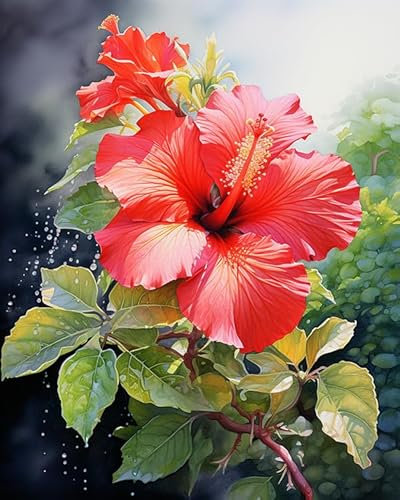 ZMHZMY Malen nach Zahlen für Erwachsene,Anfänger,Hibiskus DIY-Geschenk-Leinwand-Malset,40x50cm,Ohne Rahmen