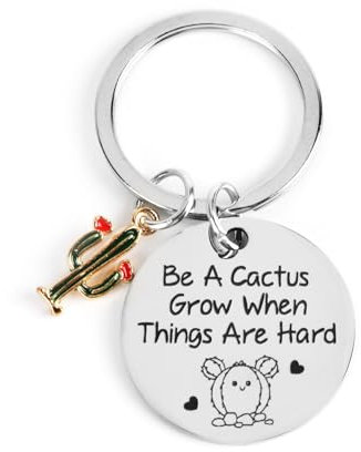 FRULX christmas gifts,Teacher Appreciation Gift,Stainless Steel Keychain with Cactus Pendant,Thank You Teacher Gifts,Inspirational Keyring,Personalised Thank You Gift,Good Luck Gift for Teachers