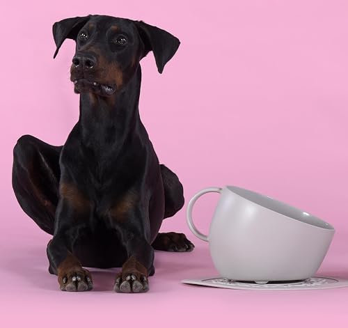 UNITED PETS Set Cup Large Bowl and Mat Mat Grey Design Dog Bowl, Made in Italy, for Medium and Large Dogs, Non-Slip, Anti-Spill, 100% Recycled Plastic