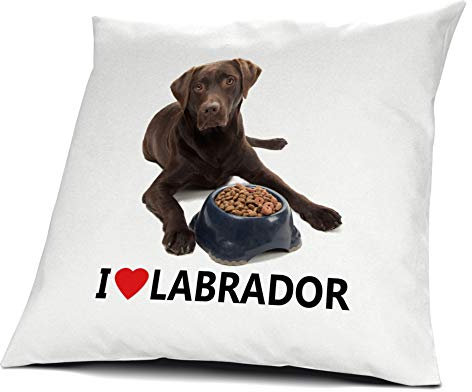 printplanet® Kopfkissen Labrador, Kissen mit Füllung I Love Labrador, 40 cm, 100% Baumwolle