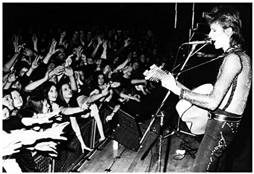 Dragonfly David Bowie Poster Newcastle City Hall LIVE 1973 Aladdin Sane Tour