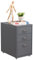 HollyHOME 3-Drawer Mobile File Cabinet, Under Desk Rolling Filing Organizer, Metal Storage Cabinet with Casters for Home and Office, Grey