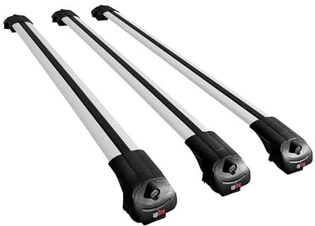 apline Compatible avec Renault Trafic 3 (X82) 2015-2025 ACE-1 Barres de Toit Railing Porte-Bagages de Voiture Gris Aluminium 3 Barres