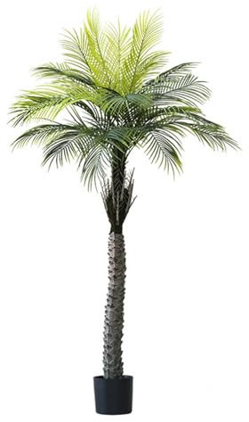 EXCLURA Plante Artificielle Exterieur Cocotier Artificiel, Fausse Plante Tropicale de Palmier Phénix, Décor Côtier de Piscine de Salle de Bains de Bureau à Domicile, 180 cm/200 cm(200cm(78 3/4))
