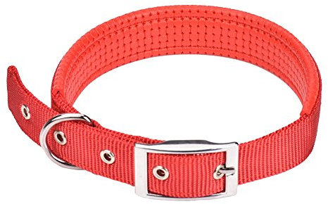 CtopoGo Comfy Hundehalsband: Einstellbares Hundehalsband mit Metallschnalle, Weich gepolsterter PP-Schaum, Soft-Feel Nylon, für kleine/mittlere/große Hunde, Hals 12-24