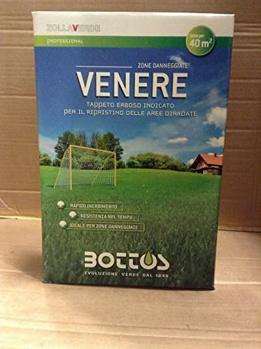 Bottos zollaverde venere 1Kg di semente semenza erba dose per 40mq