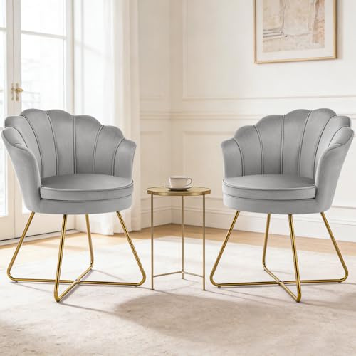 Hellove Esszimmerstühle Schminktisch Stuhl aus Samt, 2er-Set Schminkstuhl Muschel Stuhl mit Gold Metallbeinen, Grau Vanity Sessel, Elegant Loungesessel, Armlehnstuhl für Schlafzimmer & Wohnzimmer