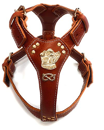 M&D Harnais pour chien en cuir marron clair avec motif tête de bullterrier Staffordshire et nœud dorés