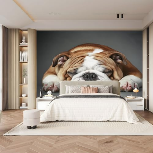 Fototapete Schlafende englische Bulldogge Vlies 3D Tapeten Moderne Wandtapete 250 x 175 cm Wohnzimmer Schlafzimmer Braun