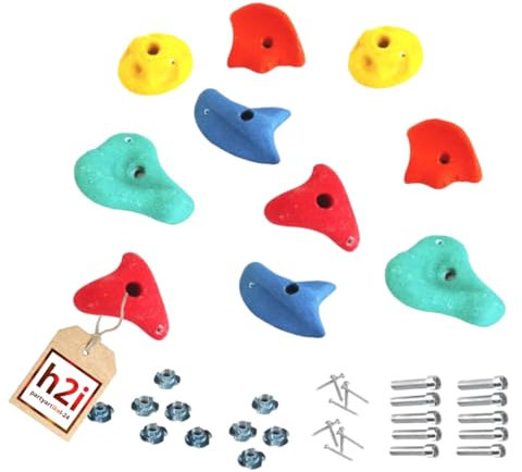 h2i Klettergriffe Kinder & Erwachsene | Klettersteine inkl. Befestigungsmaterial | Bunte Bouldergriffe für Spielturm & Kletterwand | Kletterwand Griffe für Indoor & Outdoor | 10 Stück (groß)