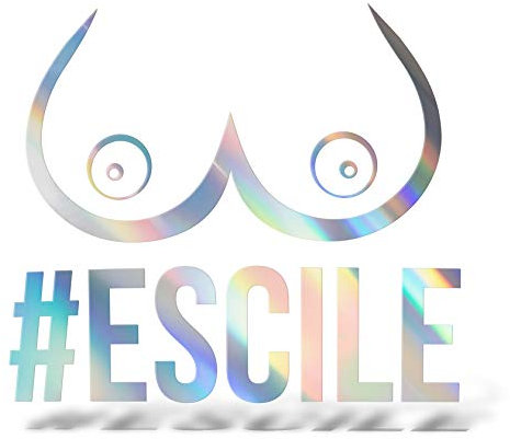 ERREINGE STICKER PRESPAZIATO OLOGRAFICO IRIDESCENTE 12 cm - Escile - Adesivo Decal Decalcomania Vinile Murale Laptop Auto Moto Casco Camper