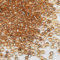 Bulk Seed Beads 110 grams about 1600pcs, 4mm 6/0 Champagne Glass Craft Beads for Making Earrings, Bracelets, Pendants, Waist Jewelry,DIY Handmade Seed Beads（Champagne Silver Core）