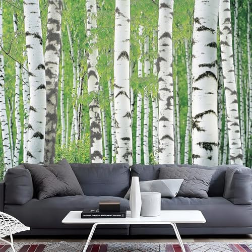 NAWVNMI Murales Amovible Peinture Murale Peinture murale de Forêt De Bouleaux,Forêt Verte, 400x280cm Décoration Murale Salon Chambre á Coucherr restauran, pour Chambre d'enfants