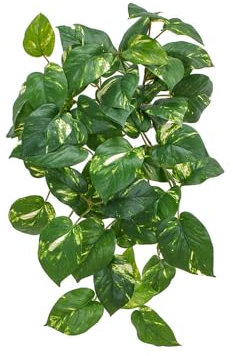 FloristryWarehouse Artificial Silk Variegated Green Pothos or Devil's Ivy Bush Fire Retardant 51cm/20 Inches