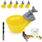 (6 Tassen) Hühner Wasserbecher Feeder, Automatische Hühnerbewässerung, Anti-Leck-System, Hält 50% mehr Wasser, Geeignet für Küken, Huhn, Ente, Wachtel, Truthahn