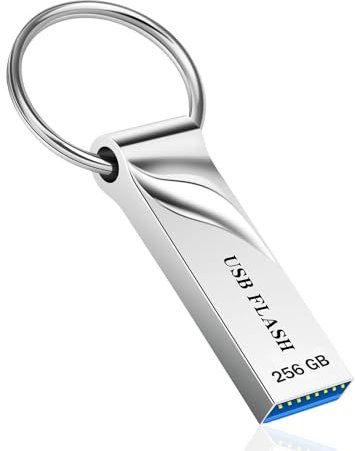 Ruoray 256GB USB 3.0 Metal Flash Drive with Keyring, Waterproof, Silver
