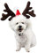 BESTOYARD Haustier Stirnband Weihnachten Rentier Geweih Stirnband mit Weihnachtsmütze Weihnachtskostüm für Haustier Hund Katze