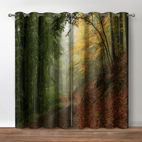 Jekeno Verdunkelungsvorhänge, Motiv: Bergwald, Nebel, Natur, Berg, Wald, Bäume, Landschaft, Ösen, Dekoration, Schlafzimmer, Wohnzimmer, Verdunkelung, Fensterbehandlungen, 2 Paneele, 132,1 x 213,4 cm