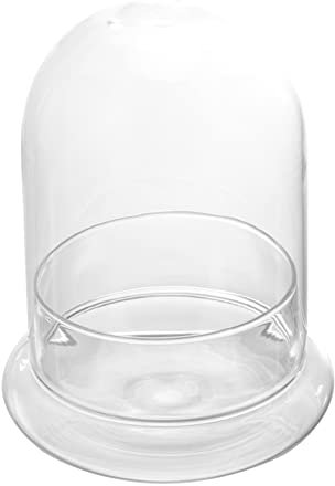 Yardenfun DIY Glas Klar Behälter Wohndeko Luft Pflanzen Kuppel Glas Dekorative Vitrine Garten Pflanzenschutz Schreibtisch Ökologische Flasche Landschaft Glas Flasche DIY Glas Flasche