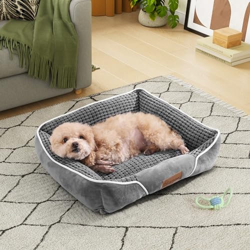 YITAHOME Hundebett für Hunde Kleiner Größe, Hundekissen,Hundebetten, 51x48cm, rutschfeste Unterseite Hundesofa,grau
