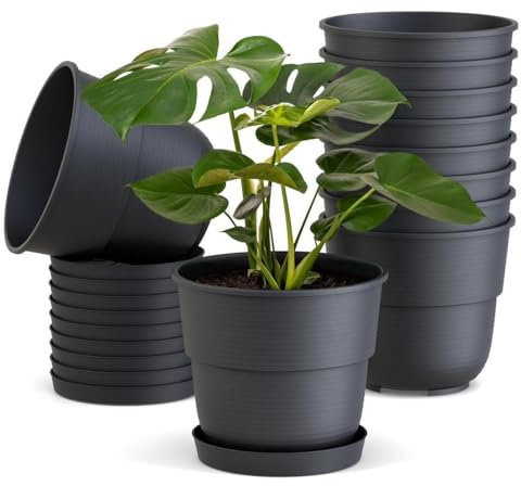 Plastard Blumentöpfe 10er Set 20 cm Durchmesser mit Untersetzer aus Kunststoff Anthrazit runder Pflanzkübel witterungsbeständiger Übertopf große Blumentöpfe