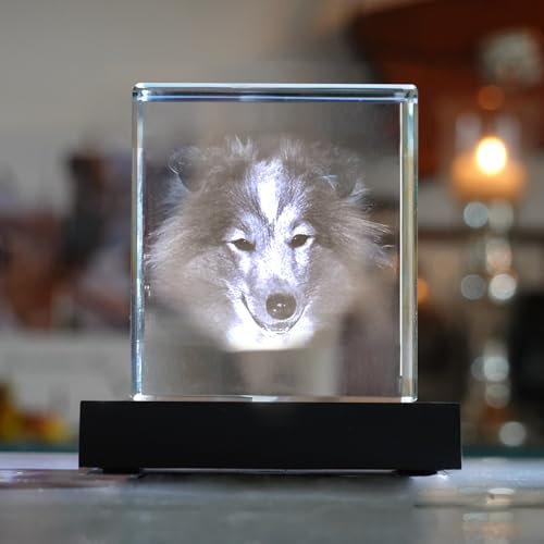 contento Kristall mit 3D Gravur | Dein Foto Portrait in Glas graviert | 1 Personen/Tiere |3D Glasfoto als Geschenk zum Geburtstag, Weihnachten, Hochzeit, inkl. Leuchtsockel | Größe XXS hoch
