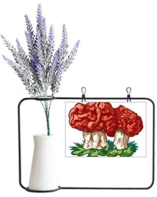 no/no Cute Red Mushroom Illustration Pattern Artificial Lavender Flower Vase Bottle Card