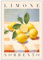 ETEKNIC Limone Sorrento Poster Colourful Italian Lemon Print Citrus Fruit Kitchen Wall Art Yellow Living Room Artwork Italy Summer Home Décor (A6, Print Only)