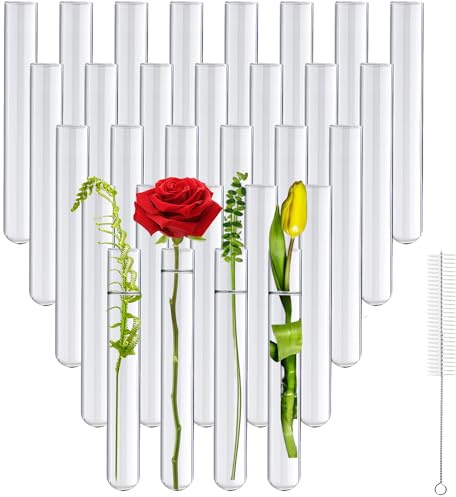 Ferenando 30 Reagenzgläser Glas mit Reinigungsbürste, 20mm OD X 150mm Länge | Laborröhrchen & Reagenzgläser, Reagenzglas Vase mit Rundboden, Glasröhrchen für Blumen, Ameisenzucht, DIY-Handwerk