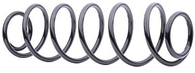 RIDEX 188C0184 2x Federn Fahrwerksfedern Hinten Kompatibel mit RENAULT Laguna 2 Grandtour KG0/1 7700416117 8438670