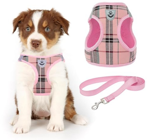 KOOLTAIL Small Dog Harness and Lead Set, Soft Mesh Plaid Puppy Harness with Safety Buckle, Adjustable & Comfortable Padded Reflective Vest for Puppies and Small Breeds Dogs Walking