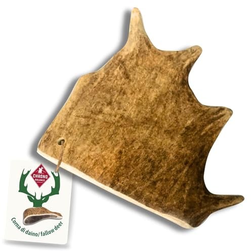 ChronoBalance® XL Damwild Hirschgeweih für Hunde Kauspielzeug: 100% Hirschgeweih echt Hundespielzeug zur Zahnpflege, Hunde Kauartikel, Kausnack Hund mit Mineralstoffen & Nährstoffen, XL (1er Set)