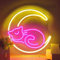 SHENEON Moon and Cat Magic Light Sign - Anime Wall Decor for Girls Room - USB Powered Pink LED Neon Sign for Bedroom - Birthday Gift - 11.6 * 11.8 Inch