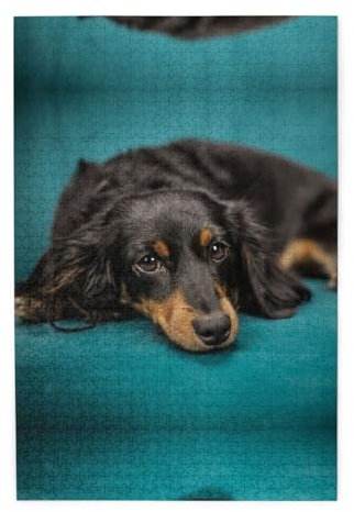 1000 Holzpuzzles in Kunststoffboxen, Dackel-Hund, Umweltschutz und kein Geruch