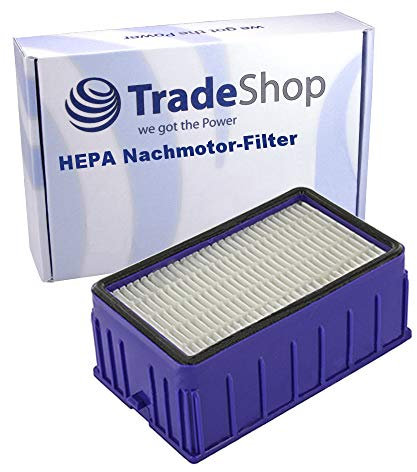 Filtro HEPA post-motor que sustituye al 905386-01 compatible con Dyson DC11 / DC11 Allergy
